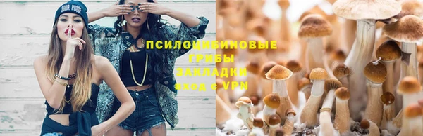 героин Алзамай