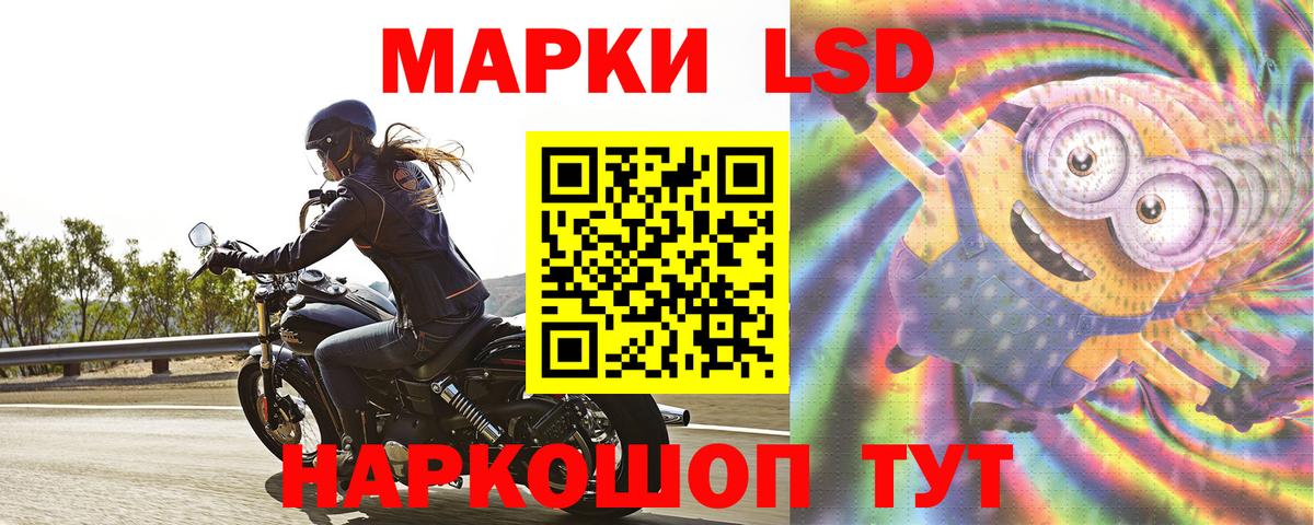 ЛСД экстази ecstasy Новороссийск