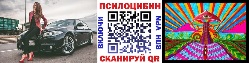 Псилоцибиновые грибы мицелий  закладка  Новороссийск 