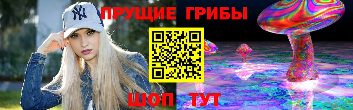 Галлюциногенные грибы Cubensis Новороссийск