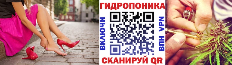 Бошки марихуана сатива  Новороссийск 